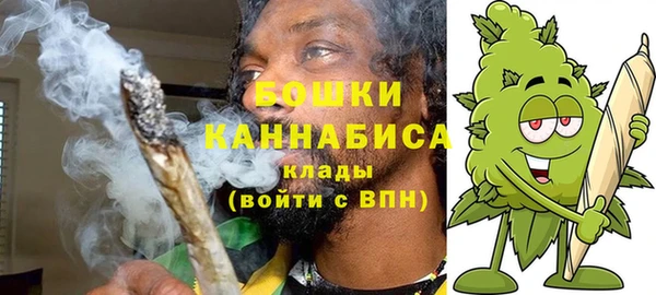PSILOCYBIN Инта