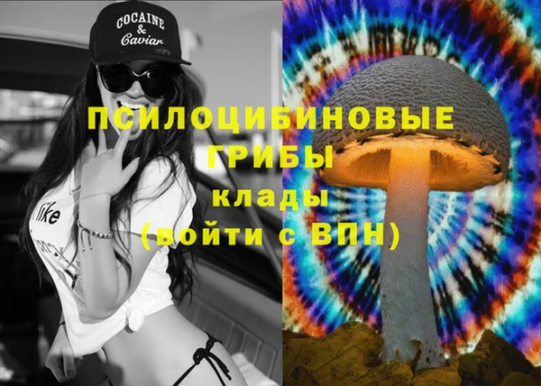 трава Новый Уренгой