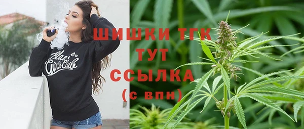 молекула духа Навашино