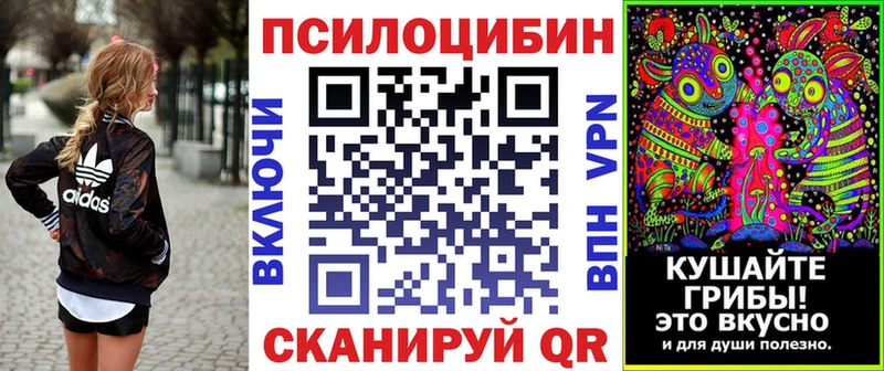 Галлюциногенные грибы Psilocybe  где найти   Бабаево 