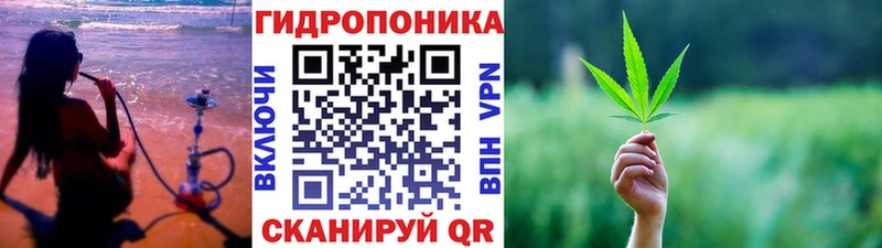 хочу   Бабаево  Марихуана White Widow 